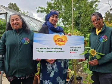 Ways of Wellbeing Cash Presentation